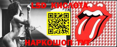 гидра Будённовск