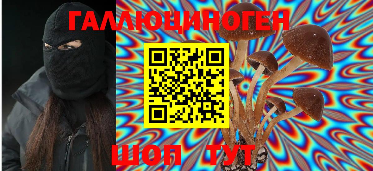 Мефедрон кристаллы  Cocaine  Alpha-PVP СК   ГАШИШ  МАРИХУАНА  MDMA  Горно-Алтайск  Меф  