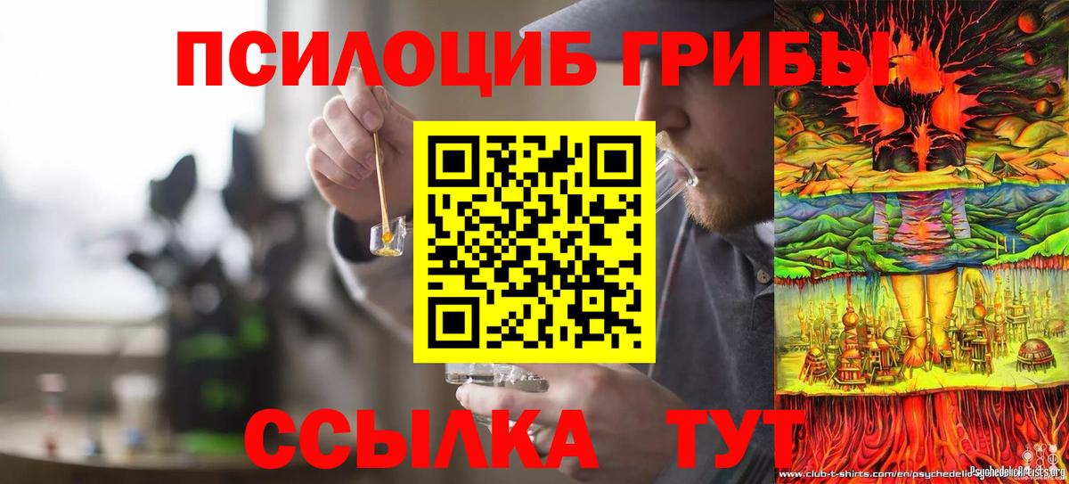 наркота  Горно-Алтайск  Псилоцибиновые грибы GOLDEN TEACHER 
