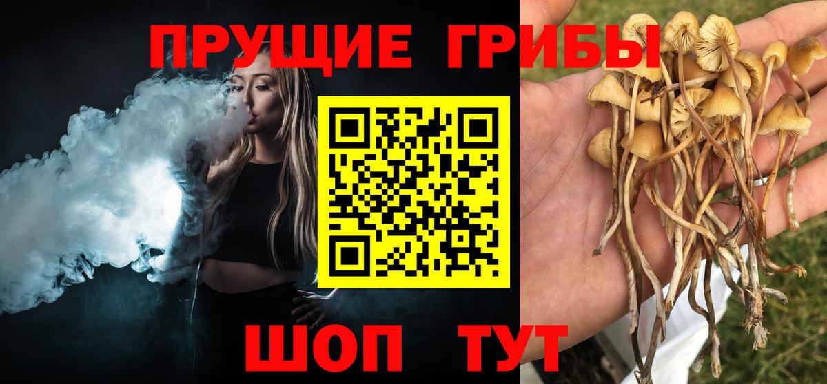 Галлюциногенные грибы GOLDEN TEACHER Горно-Алтайск