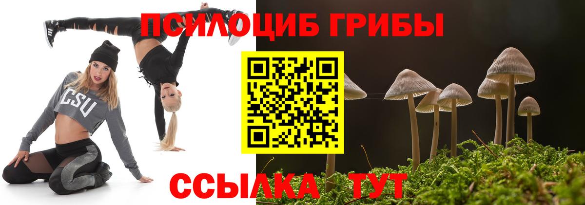 Псилоцибиновые грибы мицелий  Вход с VPN  Галлюциногенные грибы Magic Shrooms  Горно-Алтайск 